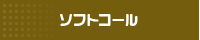 �\�t�g�R�[��